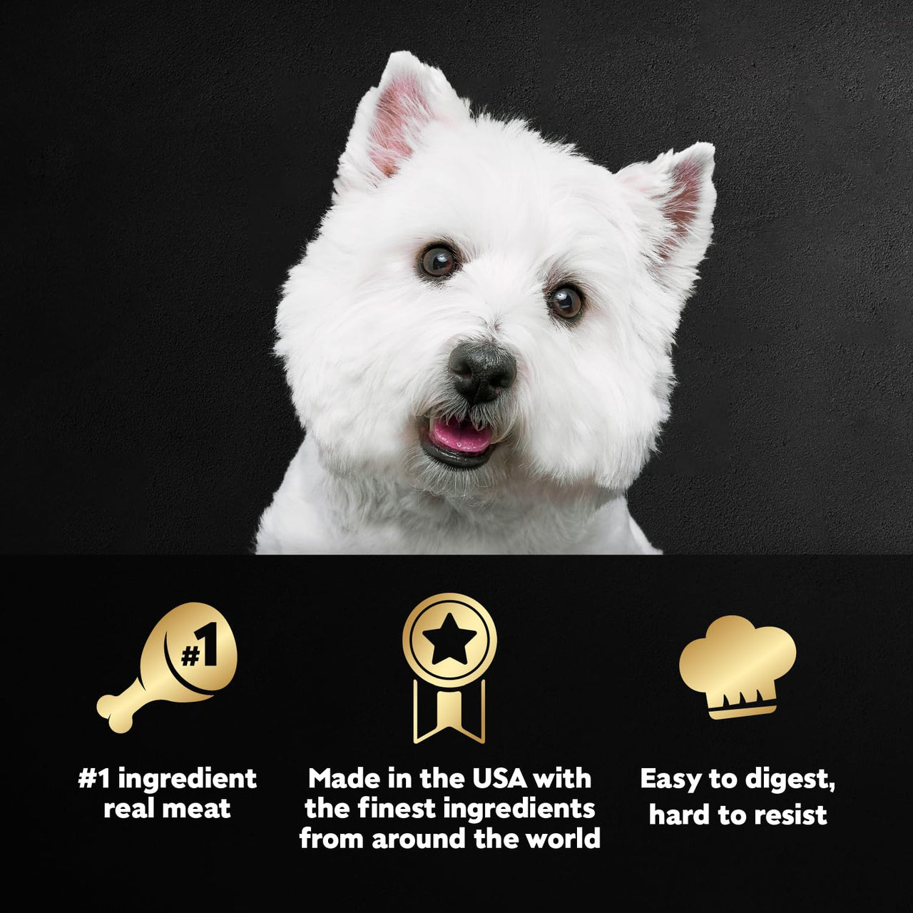 Cesar Classic Loaf in Sauce Adult Wet Dog Food Lamb Recipe, 3.5 oz Easy Peel Trays, 24 Count