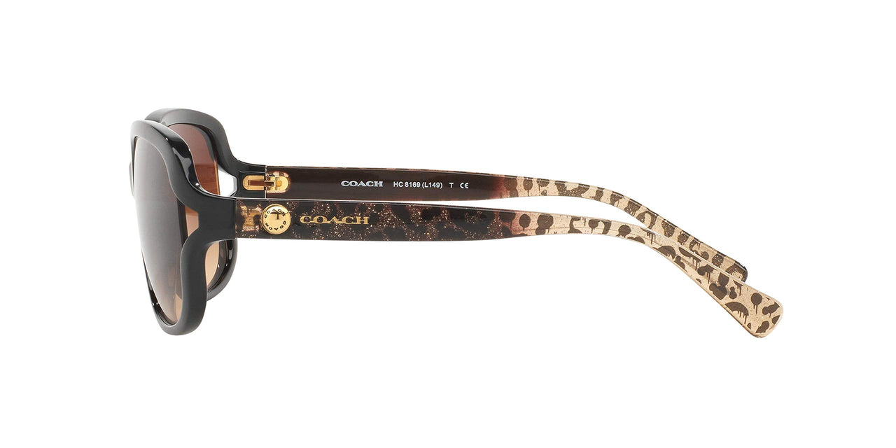 COACH HC8169-535313 Sunglasses BLACK w/BROWN GRADIENT 57mm