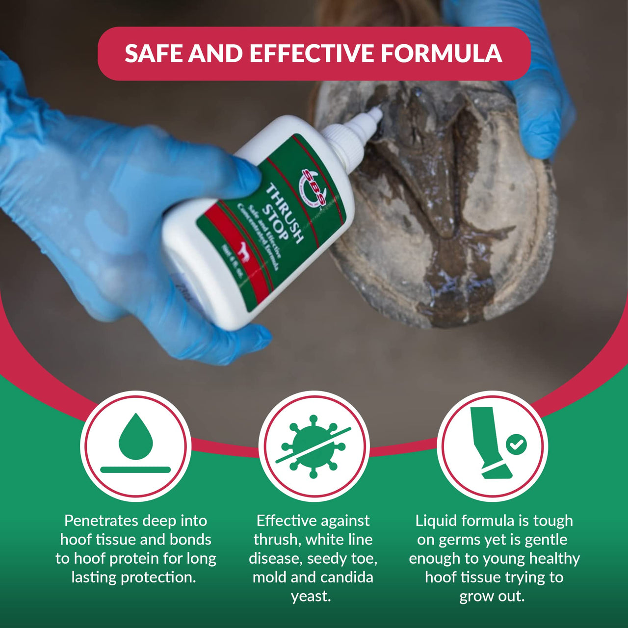 THRUSH STOP SBS Equine Thrush Treatment for Horses for The Finest Horse Care | The Horse-Journal’s Product of The Year and #1 Pick Against Hoof Thrush (4 Fluid Oz)