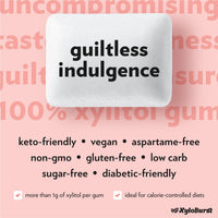 Thumbnail for XyloBurst Gum | Xylitol Chewing Gum | Sugar Free, Gluten Free, Keto Friendly | Aspartame Free Gum For Oral Health | Cinnamon | 100-Count Jar