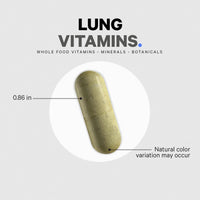 Thumbnail for Codeage Lungs Vitamins, A, C, D, E, B6, Milk Thistle Lung Supplement, Zinc & Magnesium, Cordyceps, Reishi, Chaga, Poria, Tylophora, Ginger, Peppermint Leaf Organic Herb Cleanse - Non-GMO - 90 Capsules