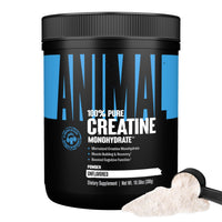 Thumbnail for Animal Creatine Monohydrate Powder – Micronized Creatine for Women and Men, Supports Muscle Growth, Strength, Endurance, Recovery and ATP Production, Gym & Workout Supplements - Unflavored, 300g