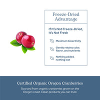 Thumbnail for Eclectic Herb - Premium Freeze Dried Cranberry Capsules | Urinary Tract Support | Cranberry Supplement for Urinary Tract Health | US-Grown, Organic, Non-GMO, Gluten Free, Vegan (120 CT | 300 mg)