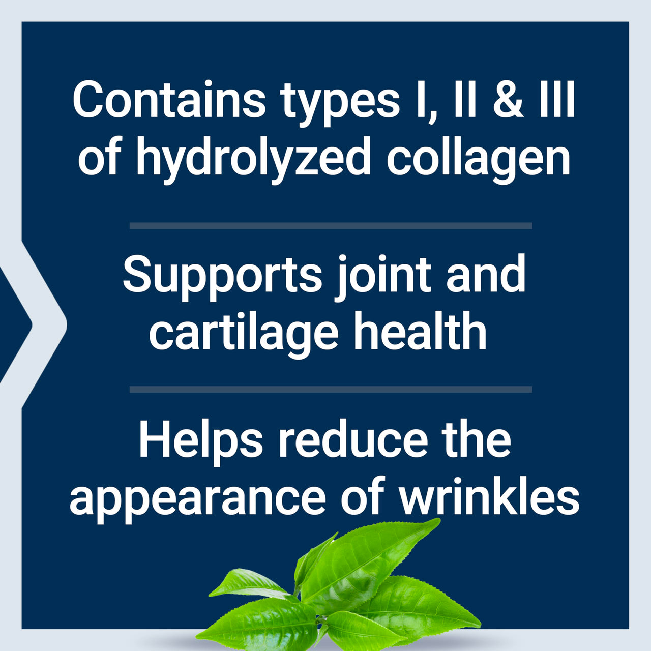 Life Extension Collagen Peptides for Skin & Joints, Collagen Types I, II & III in an Easy-Mix Powder, Gluten Free, Non-GMO, net Weight 343 Grams