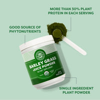 Thumbnail for Vimergy Barley Grass Juice Powder Dietary Supplement - 0.8g per Serving (312 Servings) – Clean Superfood Formula – Promotes Cardiovascular Health* – Organic, Vegan & Gluten-Free – Regular Size 250g