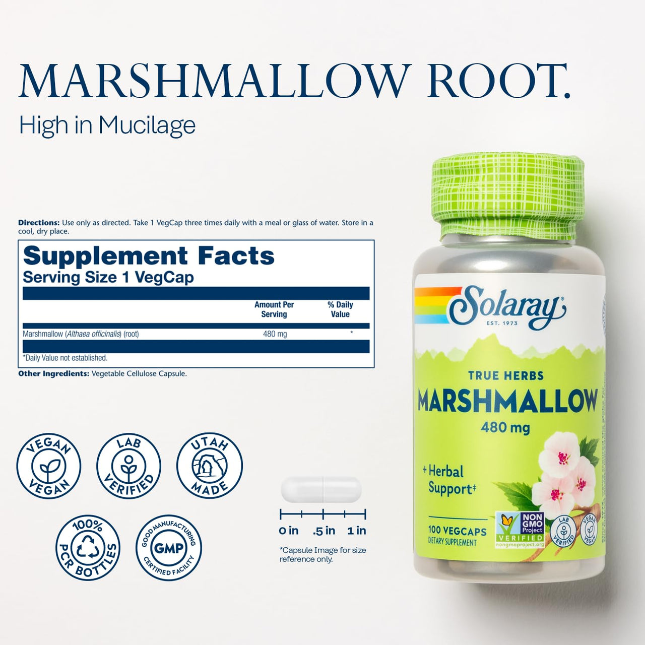 SOLARAY Marshmallow Root Capsules 480 mg - Soothing Herbal Support w/Whole Marshmallow Root - High in Mucilage Soluble Fiber, Vegan, Non-GMO, Lab Verified, 60-Day Guarantee, 100 Servings, 100 VegCaps
