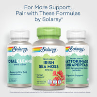 Thumbnail for SOLARAY Irish Sea Moss 500 mg Naturally Occurring Vitamins, Minerals, and Fiber Herbal Support for Gut Health and More - Vegan, Gluten Free, Lab Verified - 60 Day Guarantee - 100 Servings, 100 VegCaps