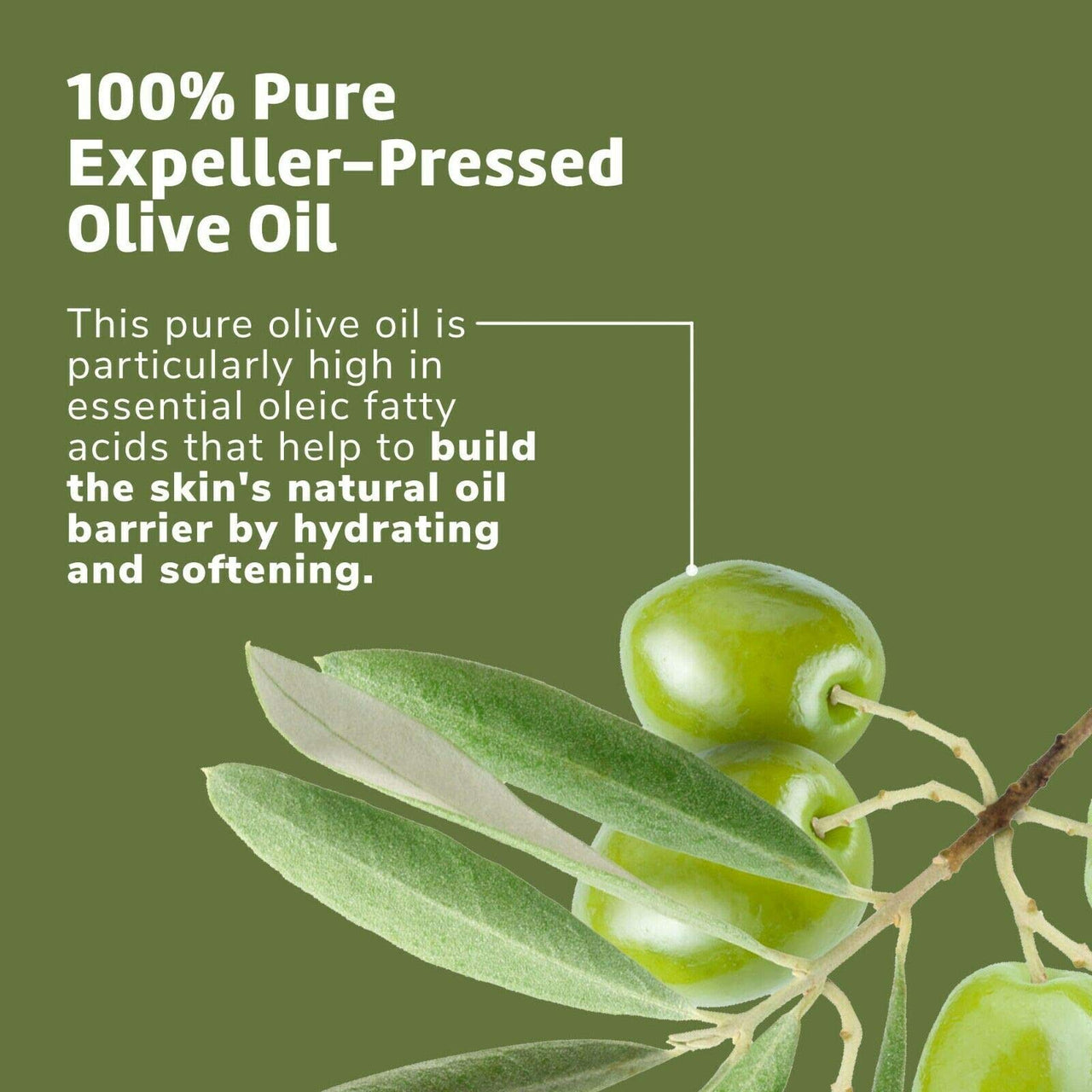 De La Cruz Pure Olive Oil - Natural Expeller Pressed Olive Oil for Hair and Skin - Lightweight Body Oil for Dry Skin 2 Fl Oz (3 Bottles)