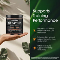 Thumbnail for NatureBell Creatine Monohydrate Powder - 500g - Micronized Powder - Delivers 5,000mg Creatine Per Serving - Pre-Workout or Post-Workout Support* - Vegan & Keto Friendly - Unflavored