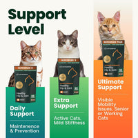 Thumbnail for VetriScience Ultimate Strength Healthy Hip & Joint Chews, GlycoFlex Glucosamine, Chondroitin and Green-Lipped Mussel Joint Supplement for Cats, Soothe Joint Discomfort, Fish, 30 Count