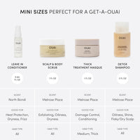 Thumbnail for OUAI Travel Kit - Includes Travel Size Leave In Conditioner, Detox Shampoo, Thick Hair Mask, Scalp & Body Scrub (4 Count)