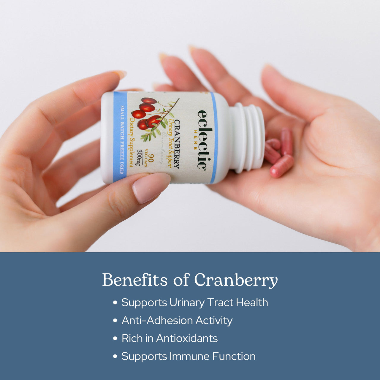 Eclectic Herb - Premium Freeze Dried Cranberry Capsules | Urinary Tract Support | Cranberry Supplement for Urinary Tract Health | US-Grown, Organic, Non-GMO, Gluten Free, Vegan (90 CT | 300 mg)