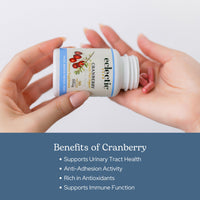 Thumbnail for Eclectic Herb - Premium Freeze Dried Cranberry Capsules | Urinary Tract Support | Cranberry Supplement for Urinary Tract Health | US-Grown, Organic, Non-GMO, Gluten Free, Vegan (90 CT | 300 mg)