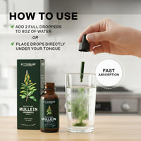 Thumbnail for Betterbrand Mullein Drops for Lung Detox - Mullein Leaf Tincture with Chlorophyll - Helps Support Respiratory Health, Alcohol-Free, 1 Month Supply - 60ml