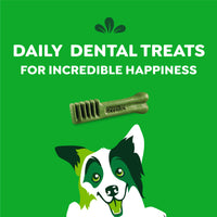 Thumbnail for Greenies Veterinarian-Recommended Adult Natural Dental Dog Treats Regular Size, Dog Dental Chews, Original Flavor, 54 oz. Pack, 54 Count