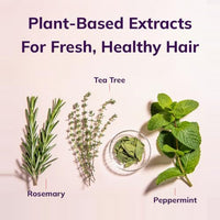 Thumbnail for Image 5 of Fairy Tales Rosemary Repel Kids Lice Prevention Conditioning Spray, 8 fl oz