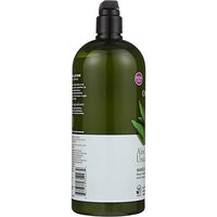 Thumbnail for Image 3 of Avalon Organics Hand & Body Lotion Aloe Unscented 32 Oz Pack of 2