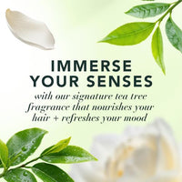 Thumbnail for Image 5 of Herbal Essences Tea Tree Clarify and Purify Shampoo and Conditioner Set, 67.6 fl oz each