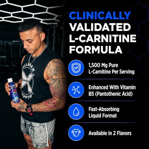 Image 3 of ALLMAX Nutrition Liquid L-Carnitine 1500 Milligrams, Blue Raspberry, 16 oz (473 ml)