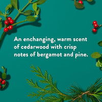 Thumbnail for Image 4 of Native Deodorant Holiday Edition Fresh Mistletoe Scent 2.65 Ounce Pack of 12