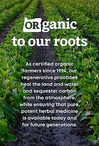 Thumbnail for Image 4 of Oregon's Wild Harvest Echinacea Goldenseal Orange Organic Extract, 2 Fluid Ounce