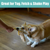 Thumbnail for SPOT Skinneeez Flying Squirrel 14 Inch Stuffing-Free Plush Squeaky Dog Toy – Soft Tug-of-War Toy for Small and Medium Dogs – Mess-Free Interactive Chew Toy for Moderate Chewers