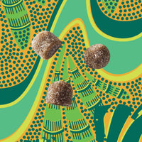 Thumbnail for Kuli Kuli Super Energy Gummies - Energy Supplements with Moringa, Caffeine-Free Natural Energy Booster - 60 Non-GMO, Gluten-Free Moringa Gummies