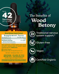 Thumbnail for Herb Pharm Certified Organic Wood Betony Liquid Extract - 1 Ounce (DWOOD01)