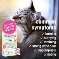 Thumbnail for HomeoPet Feline UTI+, Safe and Natural Urinary Tract Supplement for Cats, Feline Urinary Tract Support, 15 Milliliters