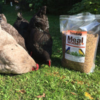 Thumbnail for TradeKing 1 lb Dried Mealworms - High Protein Treat for Wild Birds, Chicken, Fish & Reptiles