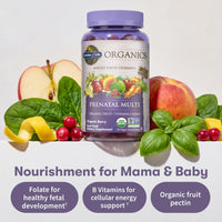 Thumbnail for Garden of Life Organics Prenatal Gummies Multivitamin with Vitamin D3, B6, B12, C & Folate for Healthy Fetal Development – Organic, Non-GMO, Gluten-Free, Vegan, Berry Flavor, 30 Day Supply