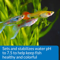Thumbnail for API Proper pH 7.5 Freshwater Aquarium Water pH Stabilizer 9.2-Ounce Container, Proper PH 7.5 PWDR JAR-Small, Whites & Tans, 260 Grams
