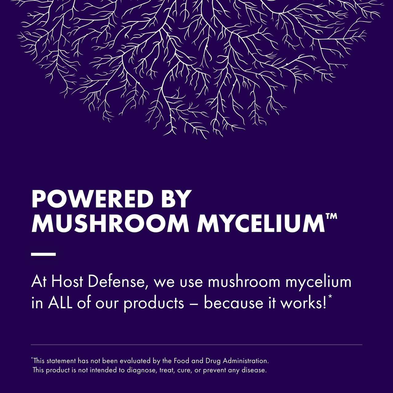 Host Defense Mushrooms Lion's Mane - Supplement Capsules for Brain Health Support - Mushroom Support for Focus & Memory Function - Immune & Nervous System Supplement - 60 Capsules (30 Servings)*