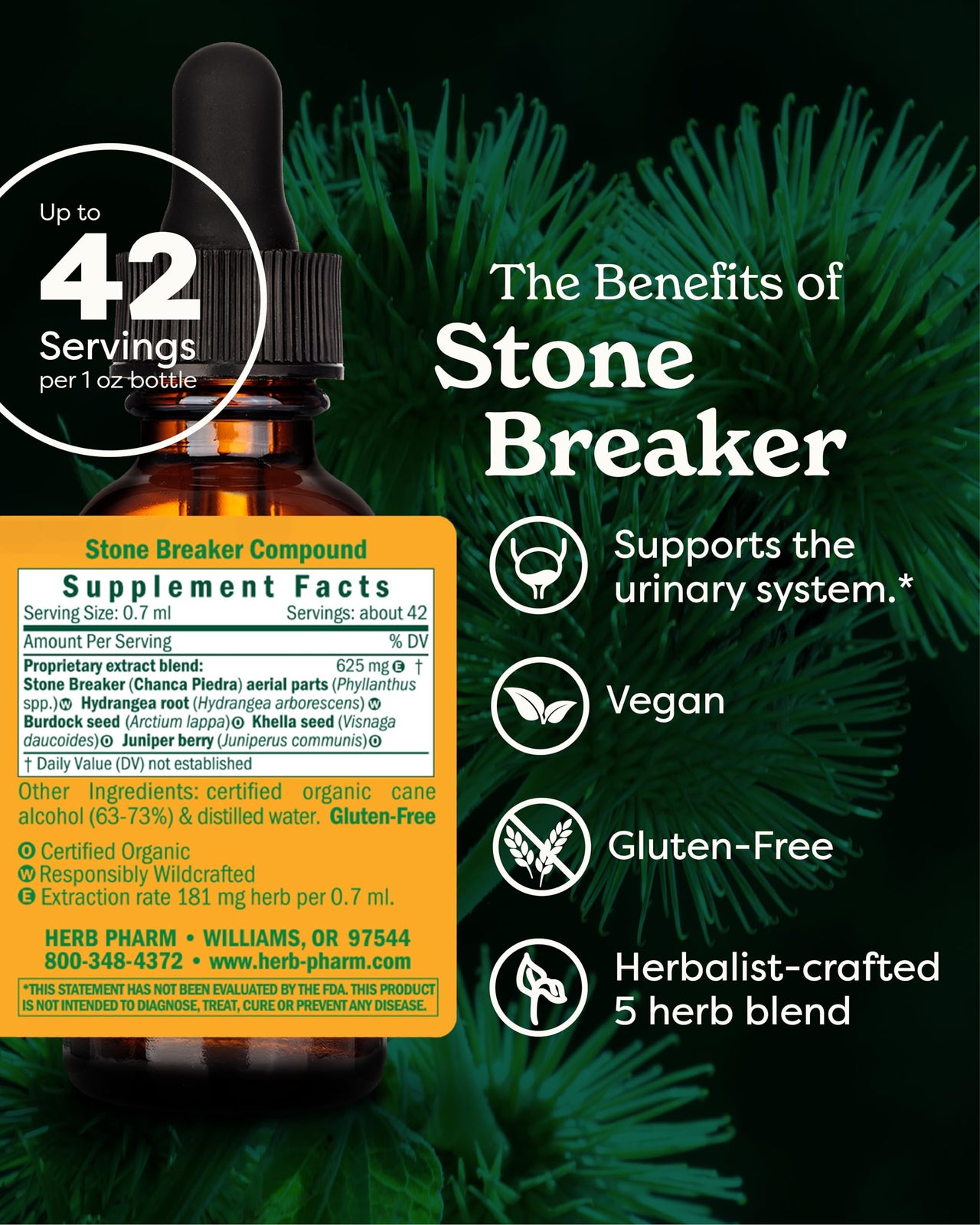 Herb Pharm Stone Breaker Chanca Piedra Liquid Extract: Supports the Urinary System | Fast-Absorbing & Sugar-Free Tincture with Hydrangea, Juniper, & Burdock | Up to 14 Day Supply, 1 oz