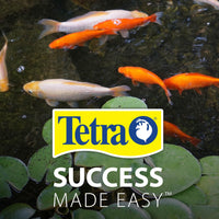 Thumbnail for TetraPond Spring And Fall Diet 3.08 Pounds, Pond Fish Food, For Goldfish And Koi, 7 L