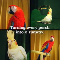 Thumbnail for Kaytee Bird Greens Treat for All Pet Birds, 1 oz