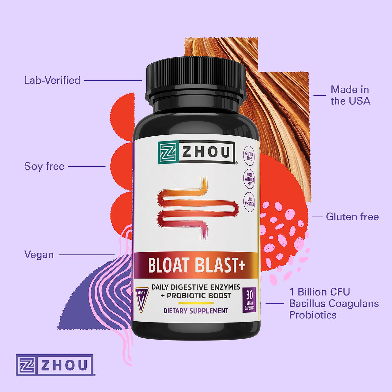 Zhou Nutrition Bloat Blast+ - Digestive Support Supplement for Women & Men, Daily Digestive Enzymes with Probiotics for Gut Health, Gluten Free, Vegan - 30 Veggie Capsules
