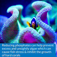Thumbnail for API Phosphate Test Kit For Freshwater And Saltwater, 64 OUNCES