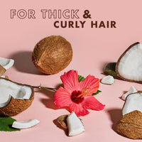 Thumbnail for SheaMoisture Travel Essentials Hair Care Bundle, Coconut & Hibiscus Curl & Shine Shampoo & Conditioner + Curl Enhancing Smoothie for Bouncy Curls, Frizz Control, 3.2 Oz Ea