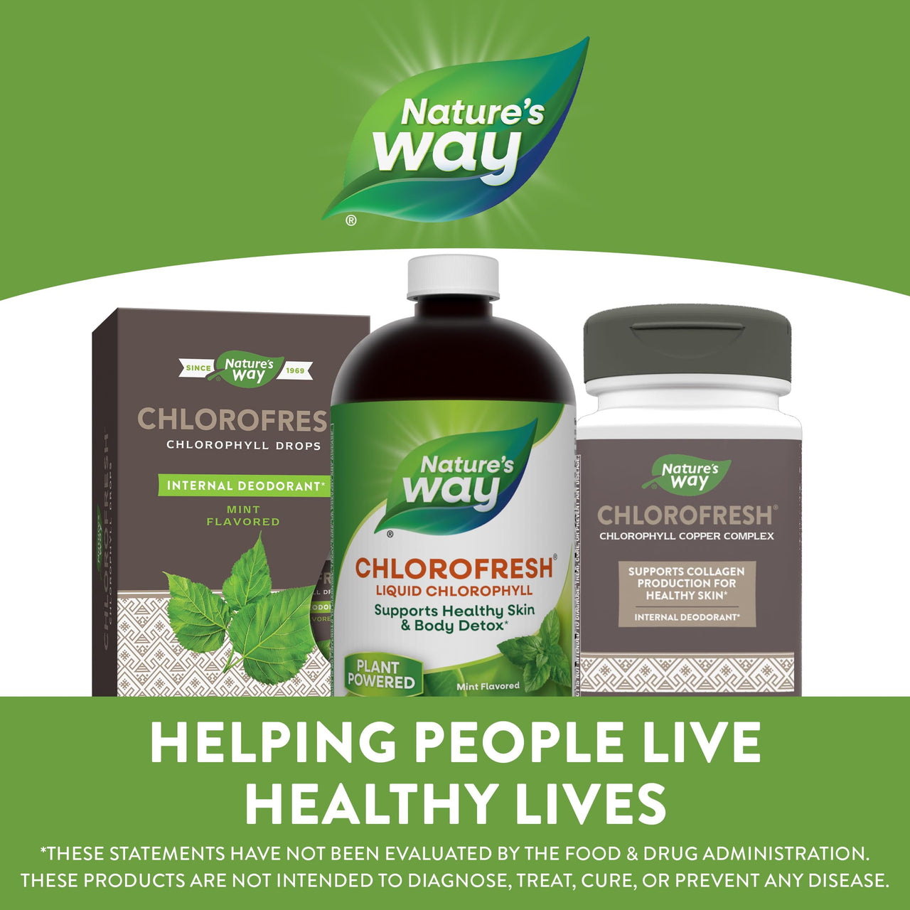 Nature's Way Chlorofresh Liquid Chlorophyll Internal Deodorant 16 fl oz, Mint Flavor (Packaging May Vary)