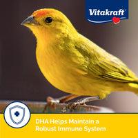 Thumbnail for Vitakraft Menu Premium Canary and Finch Food - Vitamin-Fortified - Daily Food for Small Pet Birds Browns 2.5 Pound (Pack of 1)