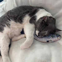 Thumbnail for SPOT Flippin' Fish Interactive Cat Toy with Catnip for Indoor Cats & Kittens - Touch Activated, Flipping Tail, Rechargeable with USB, Hours of Fun - 11.5 inch