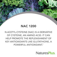 Thumbnail for NaturesPlus PRO NAC 1200 mg - 60 Tablets - Crucial for Replenishing Glutathione - Non-GMO, Vegan & Gluten Free - 30 Servings