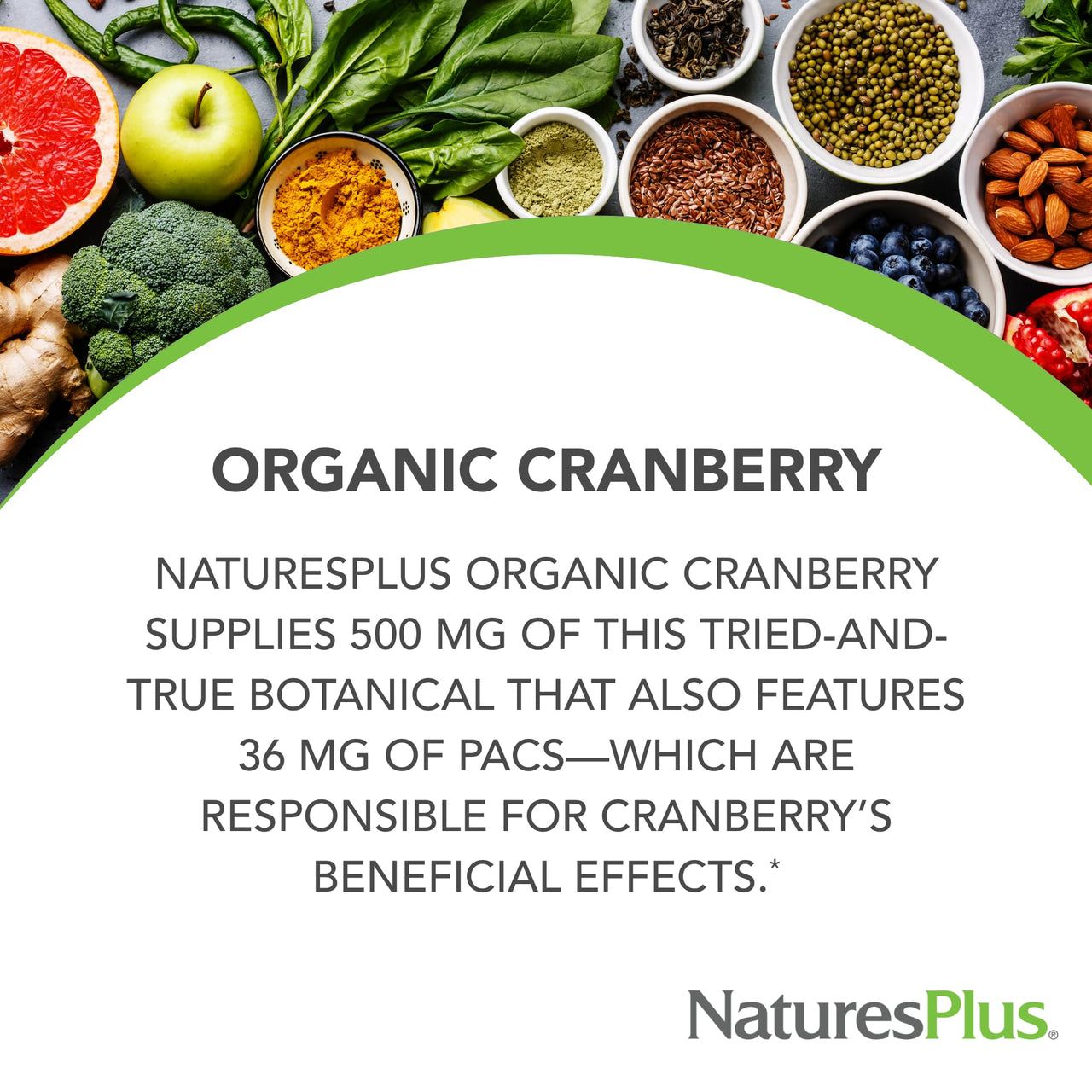 NaturesPlus Organic Cranberry 500 mg - 60 Capsules - Helps Promote Healthy Urinary Tract - USDA Certified Organic, Vegan, Gluten Free, Non-GMO - 30 Servings