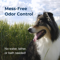 Thumbnail for PetAg Fresh ’n Clean Cologne Spray - Baby Powder Scent - 6 oz - Controls Odor & Keeps Dogs Smelling Fresh