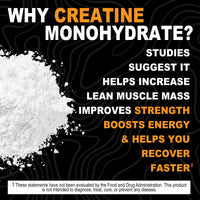Thumbnail for It's Just! - Creatine Monohydrate Powder, Pure Creatine Powder, Made in USA, 3rd Party Lab Tested, 5g Per Serving, Scoop Included, No Fillers, No Added Flavor (Unflavored, 500g / 100 Servings)