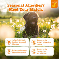 Thumbnail for Zesty Paws Dog Allergy Relief Chews, Dog Probiotics for Itchy Skin and Ears, Peanut Butter, 90ct