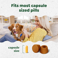 Thumbnail for Greenies Pill Pockets for Dogs Large Size, Dog Treat Pouch for Capsule Medication, Chicken Flavor, 15.8 oz. Pouch