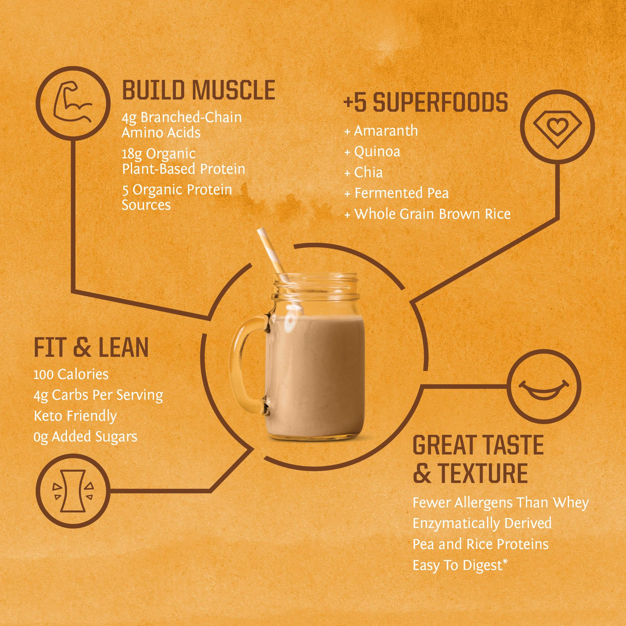 Clean Vegan Protein Powder Vanilla | Organic Protein Powder Plant Based Formula with 5 Superfood Blend Sprouted & Fermented | Non-GMO Low Carb Soy Dairy & Gluten Free (Vanilla, 30 Servings)