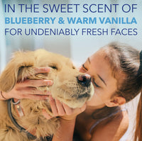 Thumbnail for TropiClean SPA Tear Stain Remover for Dogs | Blueberry Facial Shampoo | Odor Eliminator | Tearless | Whitening and Brightening | Made in USA | 8oz.